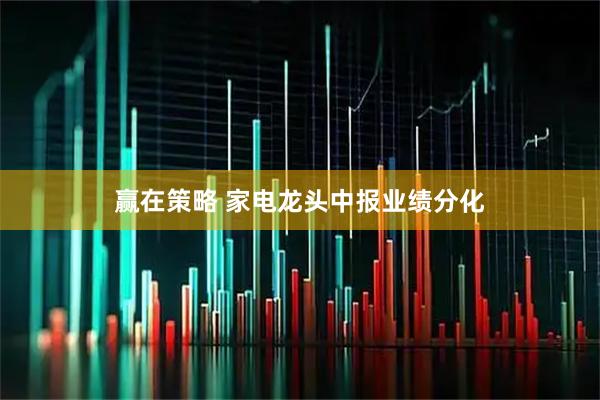 赢在策略 家电龙头中报业绩分化