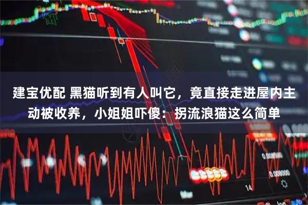 建宝优配 黑猫听到有人叫它，竟直接走进屋内主动被收养，小姐姐吓傻：拐流浪猫这么简单