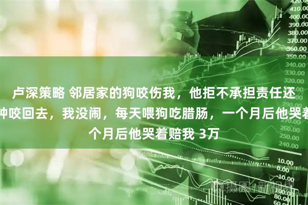卢深策略 邻居家的狗咬伤我，他拒不承担责任还叫嚣：有种咬回去，我没闹，每天喂狗吃腊肠，一个月后他哭着赔我 3万