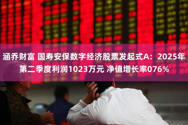 涵乔财富 国寿安保数字经济股票发起式A：2025年第二季度利润1023万元 净值增长率076%